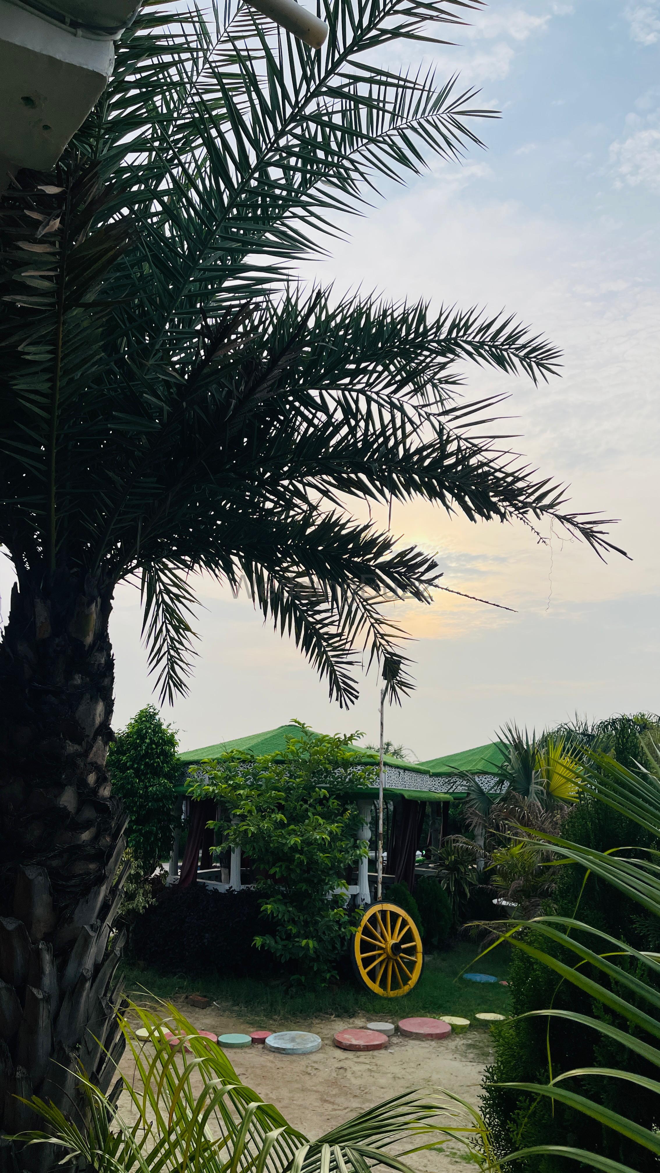 Sparrow Farms And Resort 